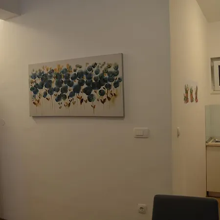 Svjetlana Apartman *